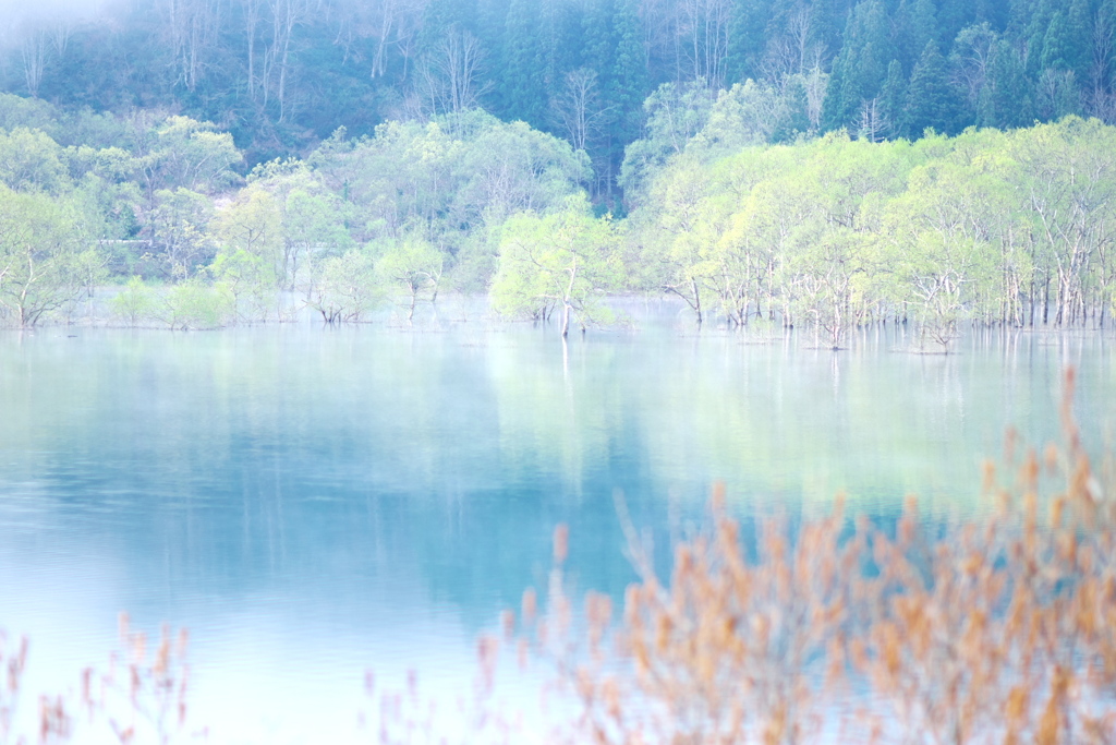 白川湖