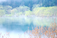 白川湖