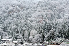 雪景色