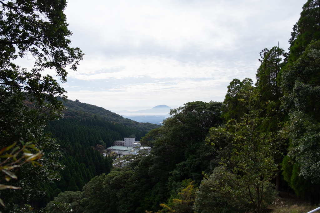 DSCF8230