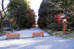 DSCF2791