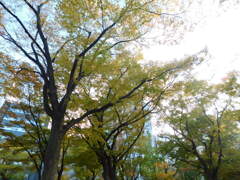 札幌散策