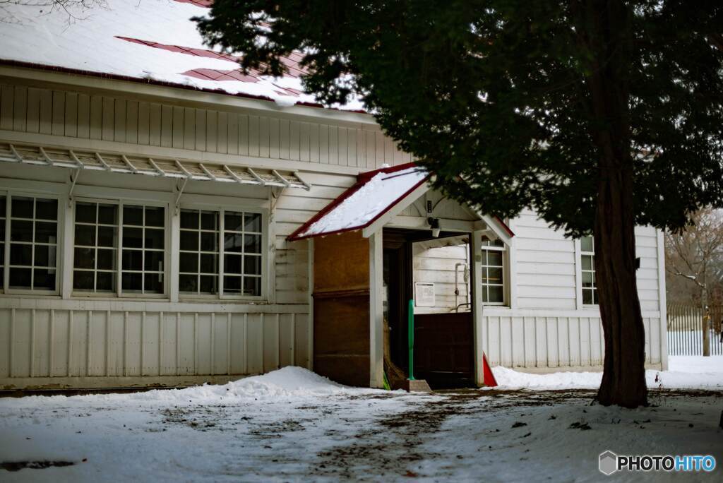 DSC_9965