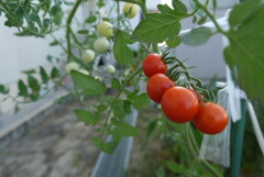 DSC00040