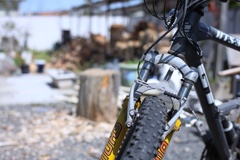 春のサイクリング