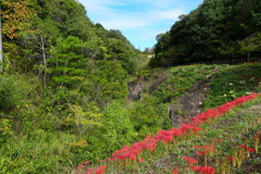DSC00613