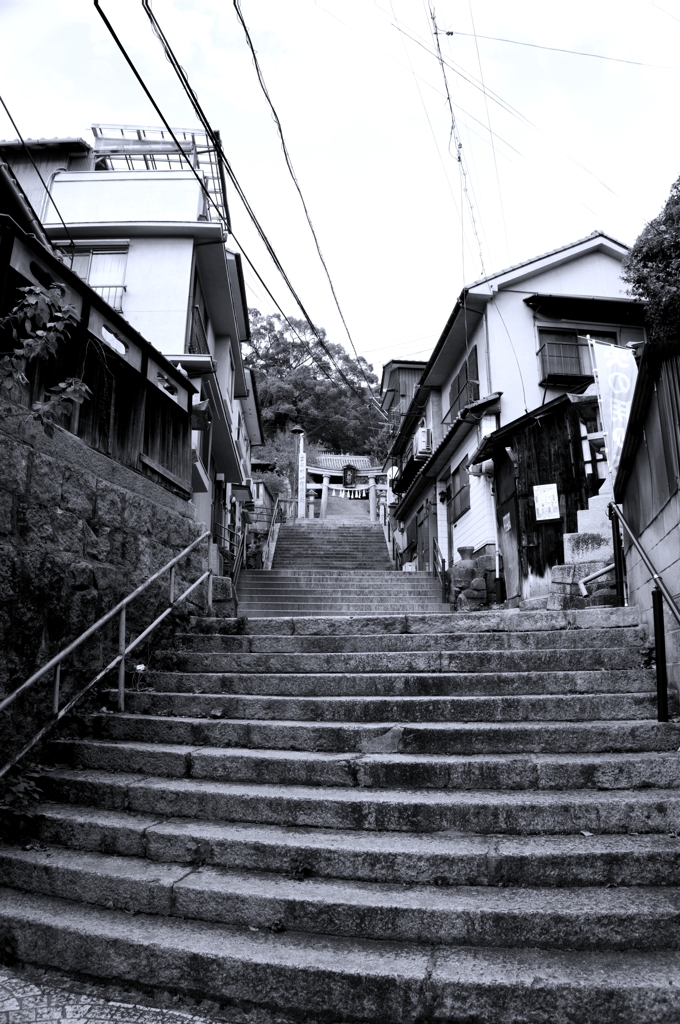 DSC01712