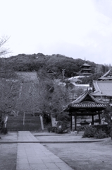 DSC01742