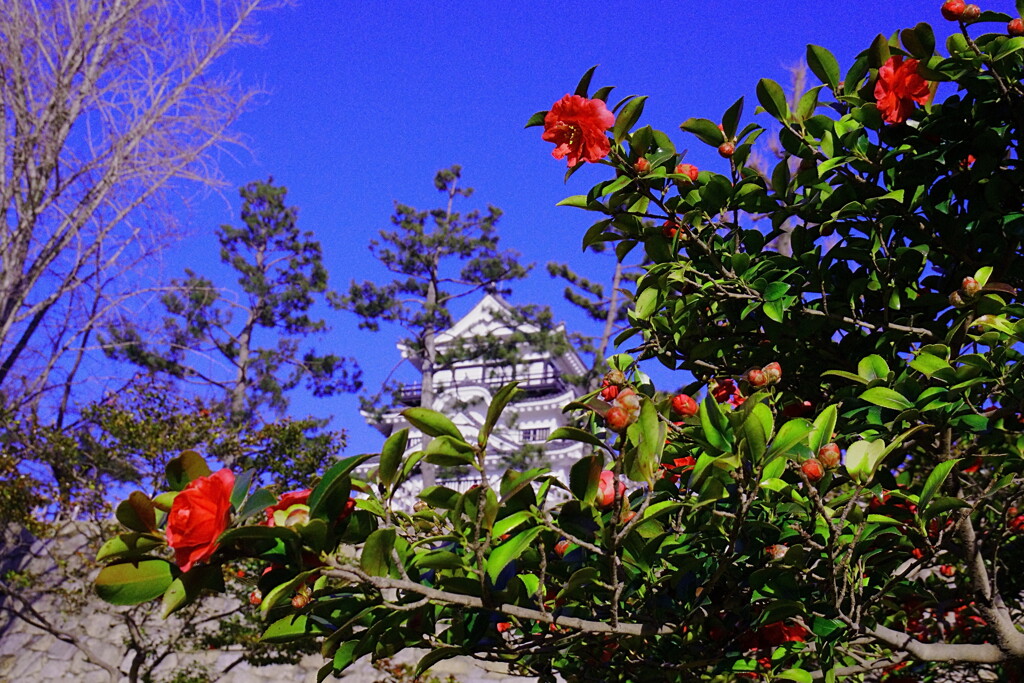 DSC02193