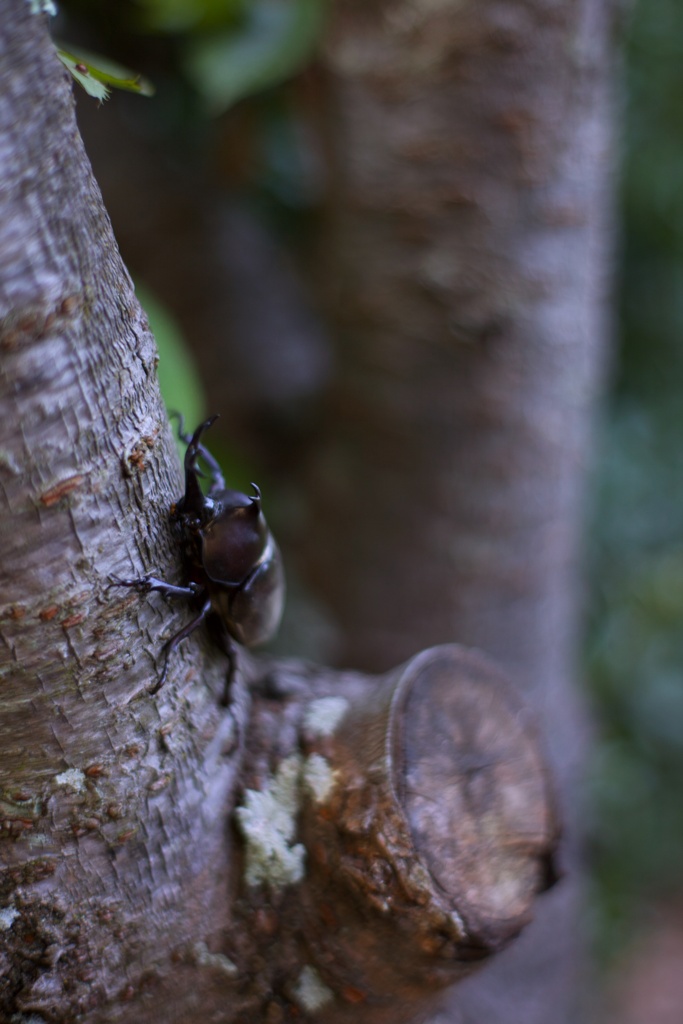 BA5F7BCB-2335-4717-893E-9DC91F0A8E46