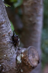 BA5F7BCB-2335-4717-893E-9DC91F0A8E46