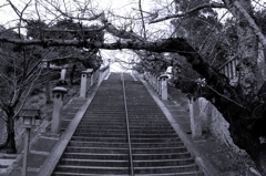 DSC01741