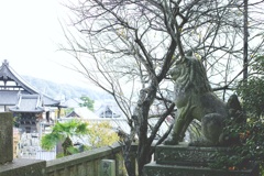 遠くを見つめる