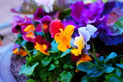 DSC01967