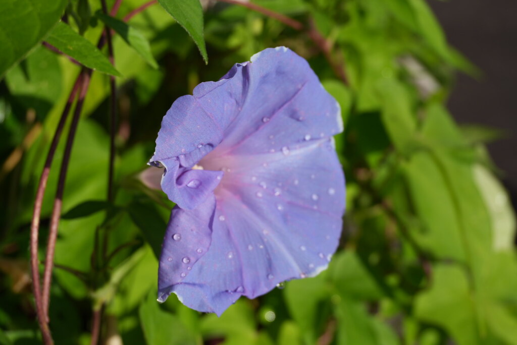 DSC00038