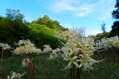 DSC00608
