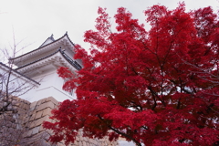 DSC01796