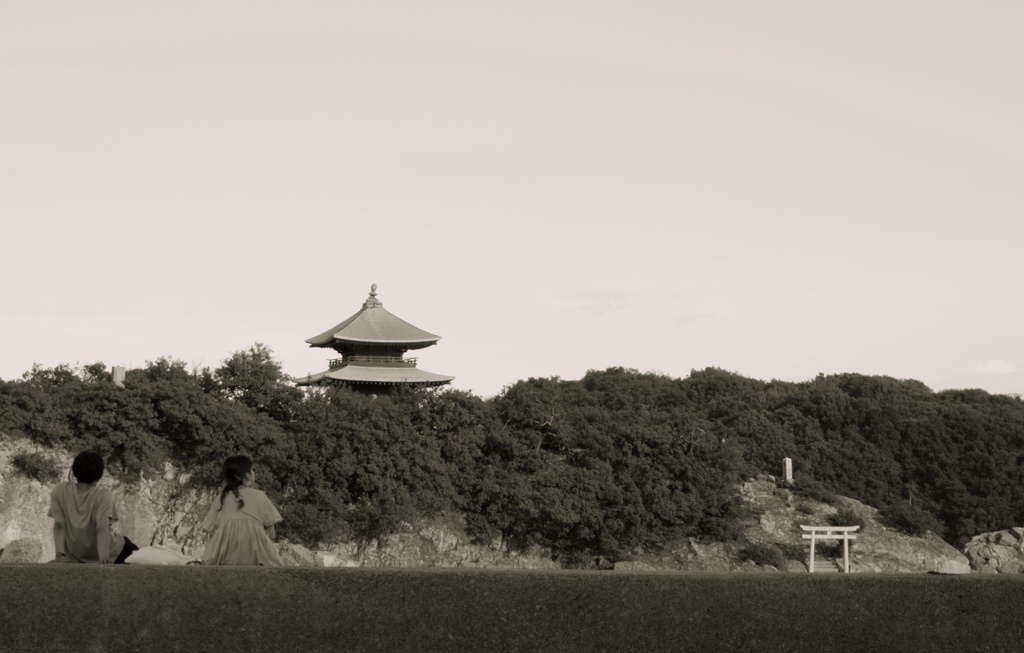 DSC00416