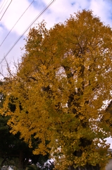 DSC01704