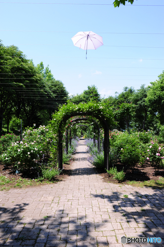 エントランスの風景