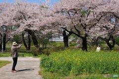 お花見のころ３