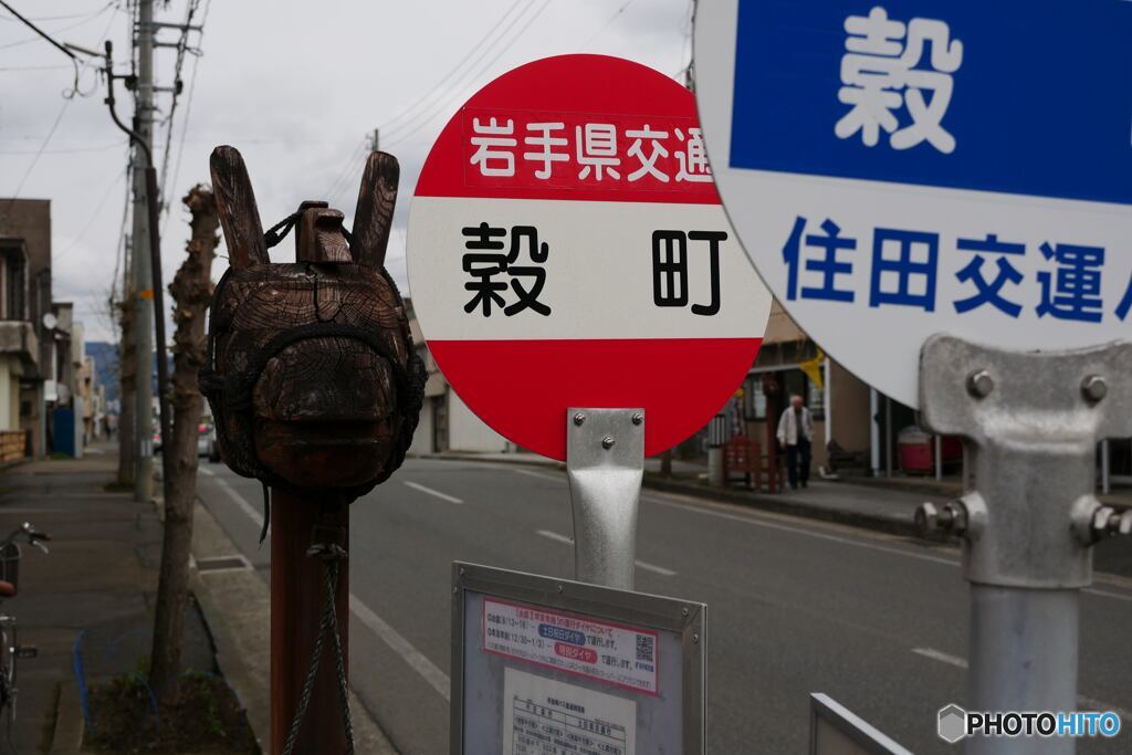 遠野１１