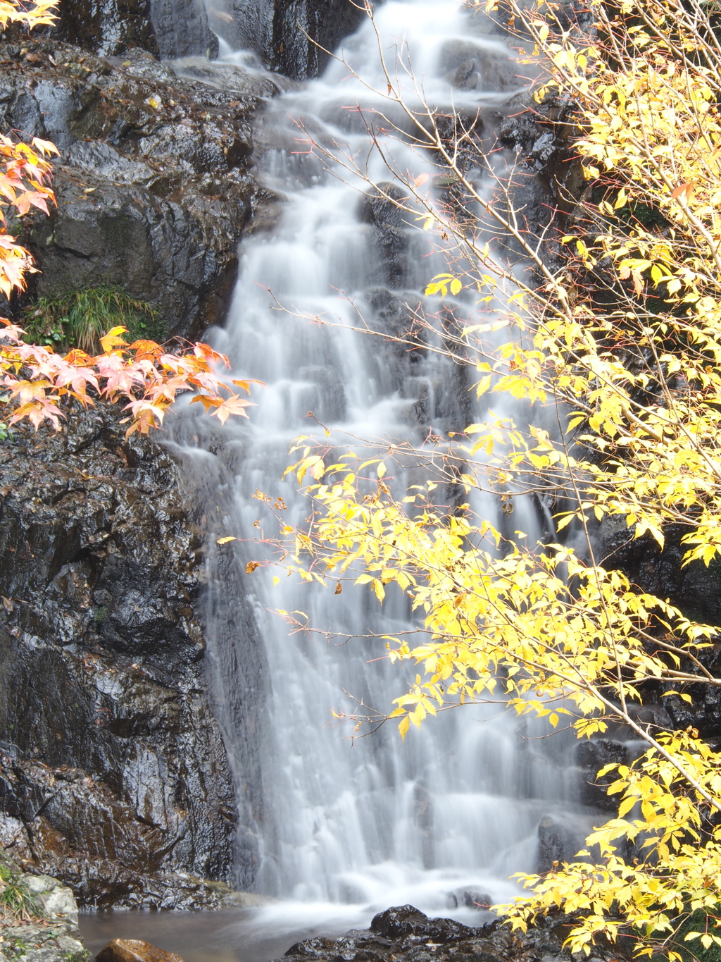 秋の滝