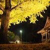 神社と銀杏