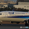 NH B737 @ITM