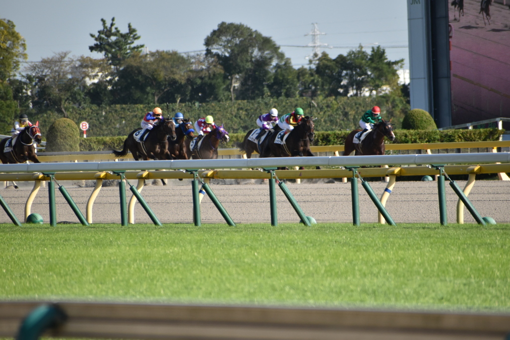 EF4E1082-172D-49B1-9489-A5DC98BBD411