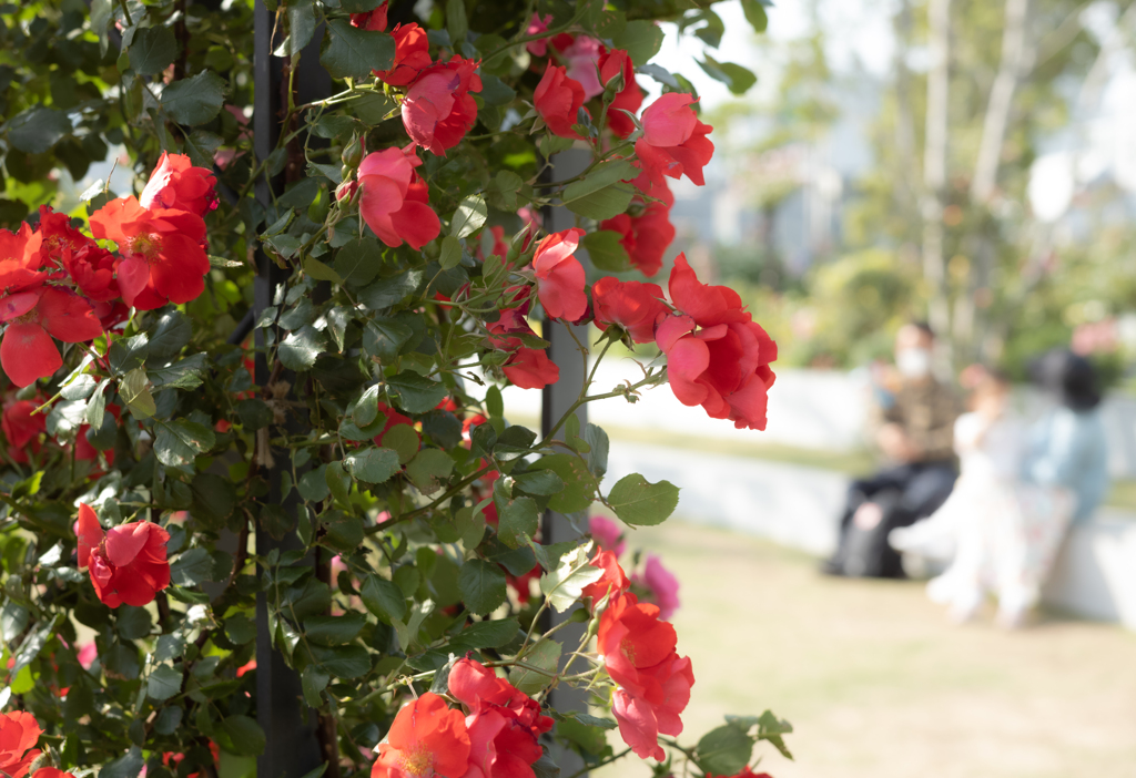 漢字は読めるけど書けんヤツ