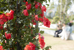 漢字は読めるけど書けんヤツ