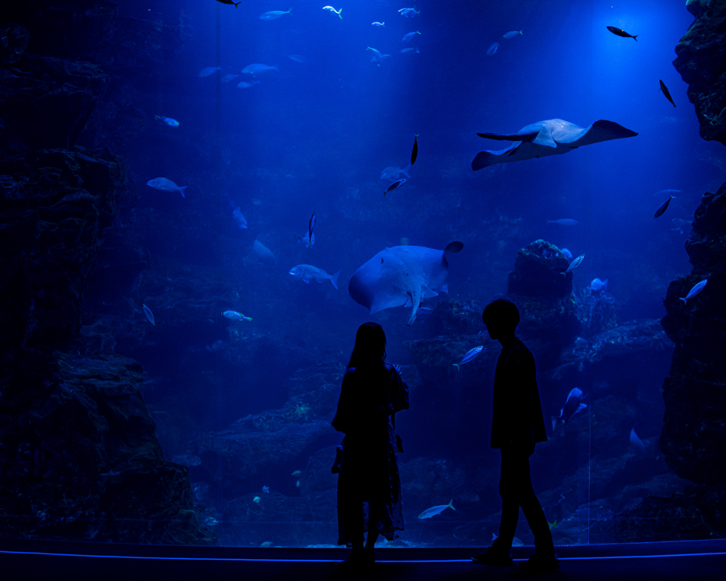 deep blue