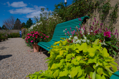 ベンチを愛でてみる