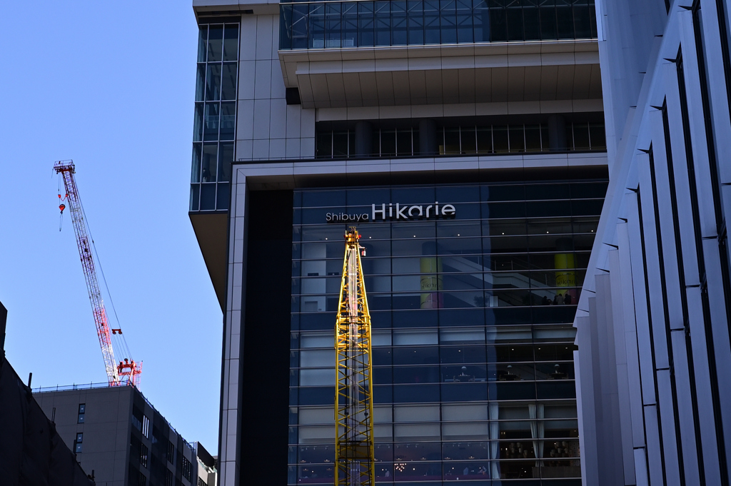 渋谷⑥谷間の（7227）