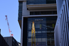 渋谷⑥谷間の（7227）