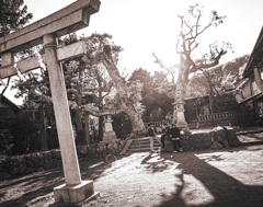ヨク遊ビ、ヨク遊ベ