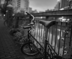雨上がりの夜空に