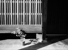 長屋