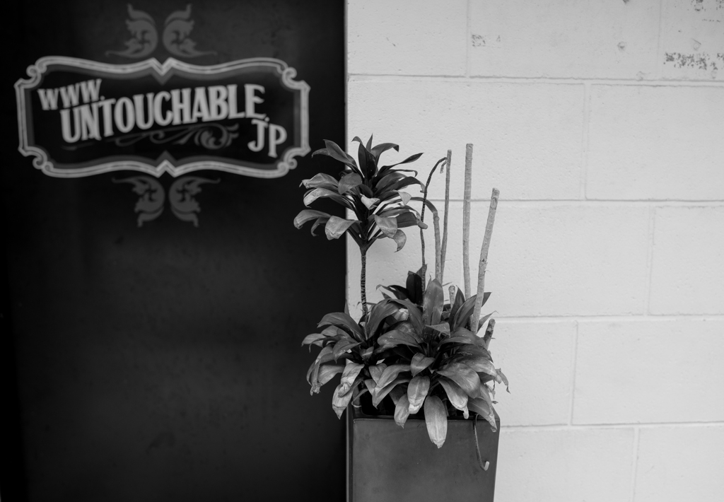 UNTOUCHABLE