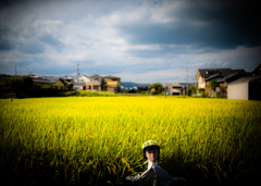 イケメン案山子