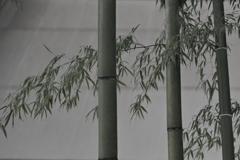 竹@寂光院（0918）