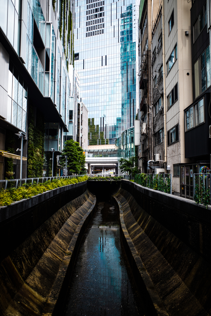 渋谷川