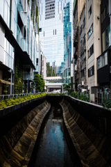 渋谷川