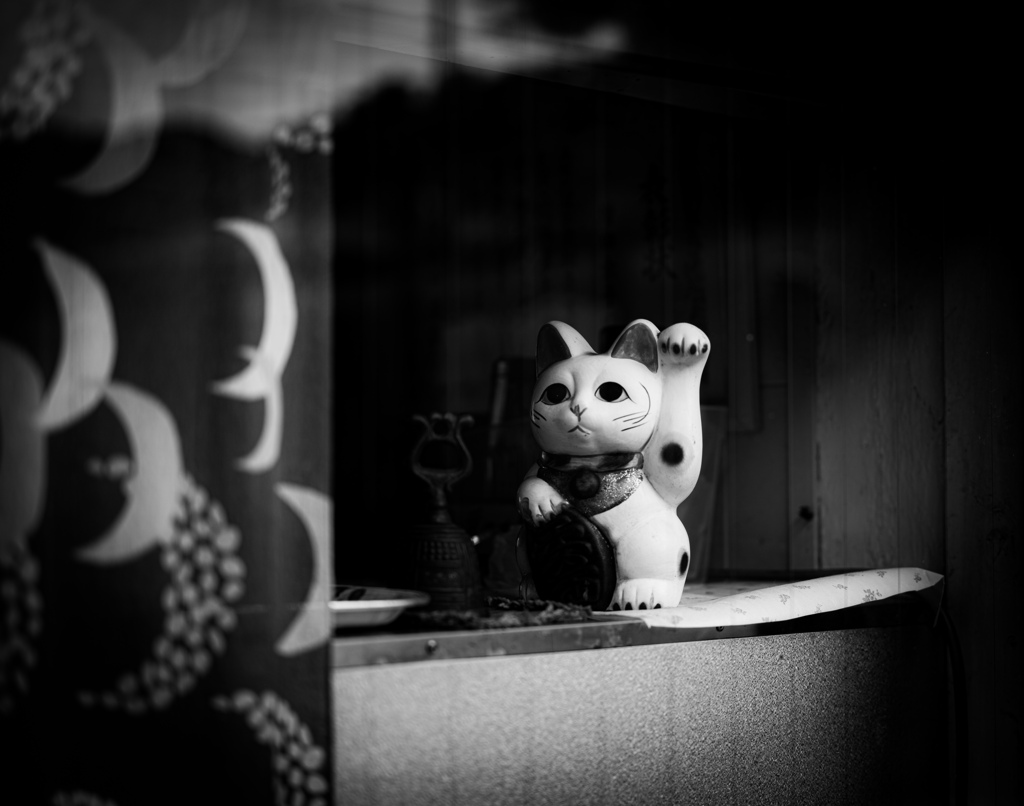 こっち来い！