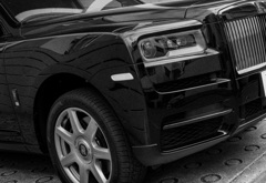 RR