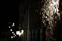 黄金町⑪今日の終わりに（5913）