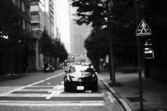 横断歩道