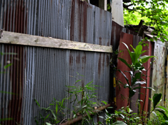 トタニストに捧ぐ