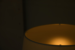 Lamp shade（5480）